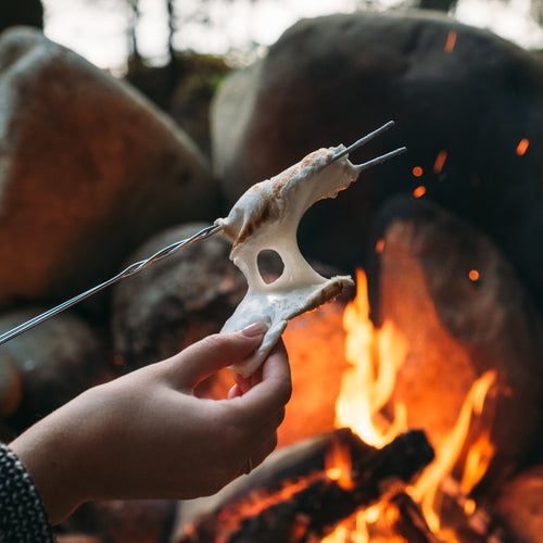 gourmet marshmallows being roasted near a fire